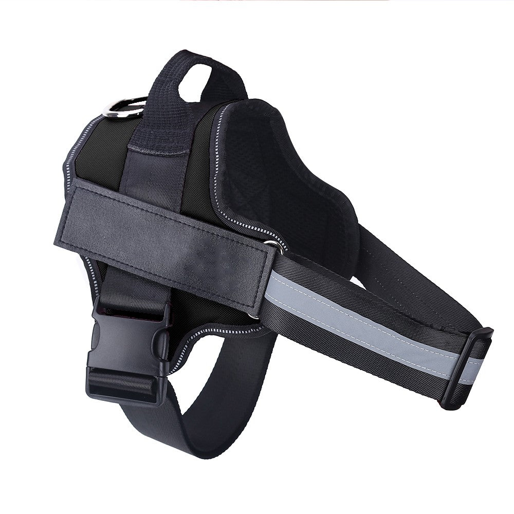 Harnier pour chien personalisable
