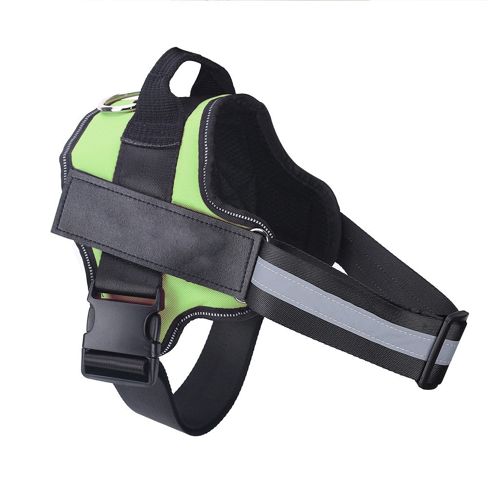 Harnier pour chien personalisable