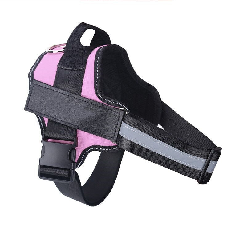 Harnier pour chien personalisable