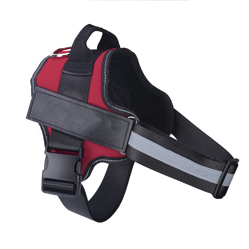 Harnier pour chien personalisable