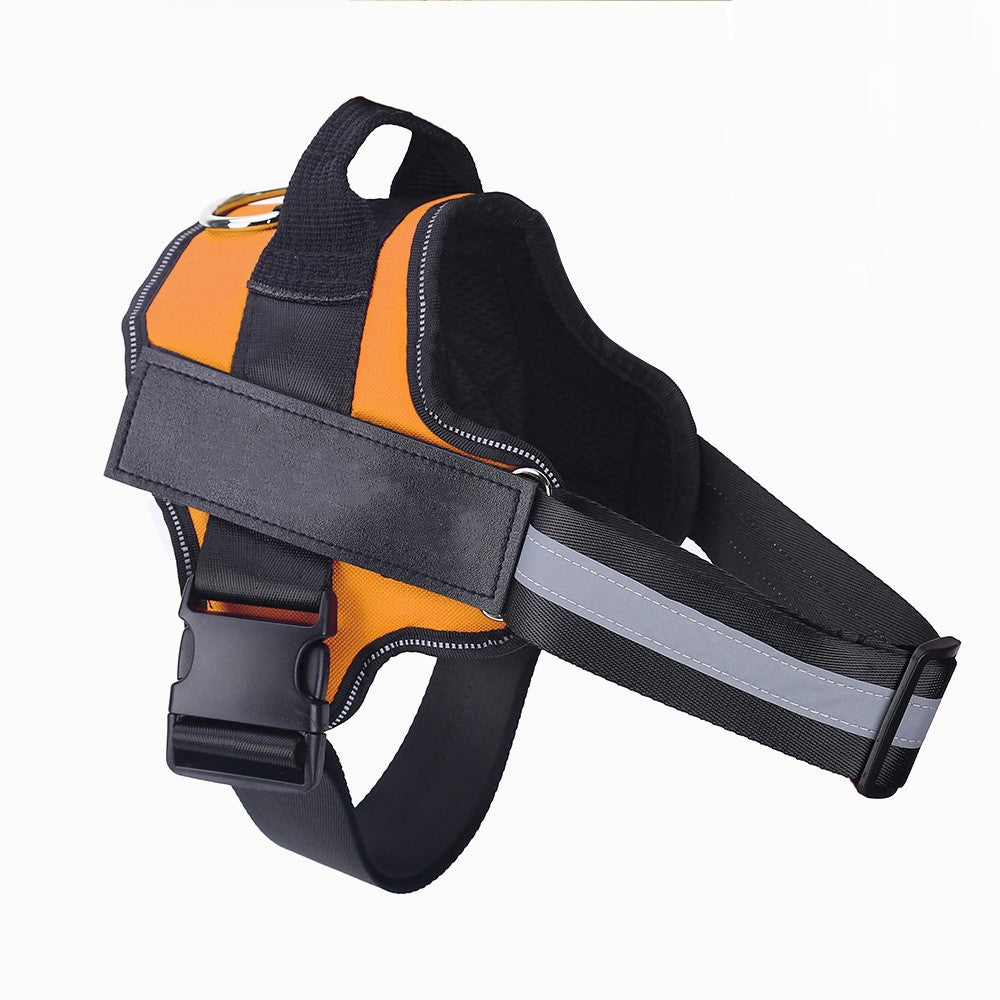 Harnier pour chien personalisable