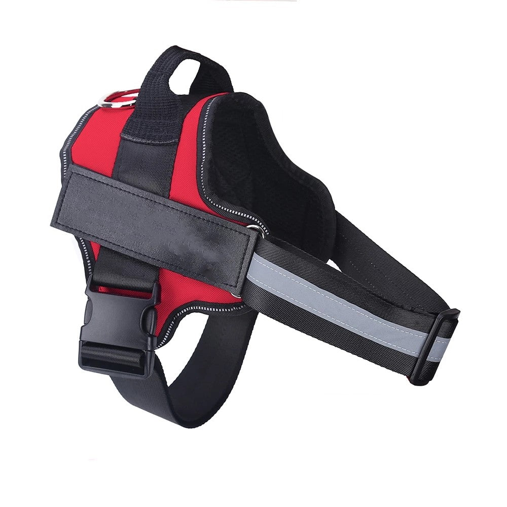 Harnier pour chien personalisable