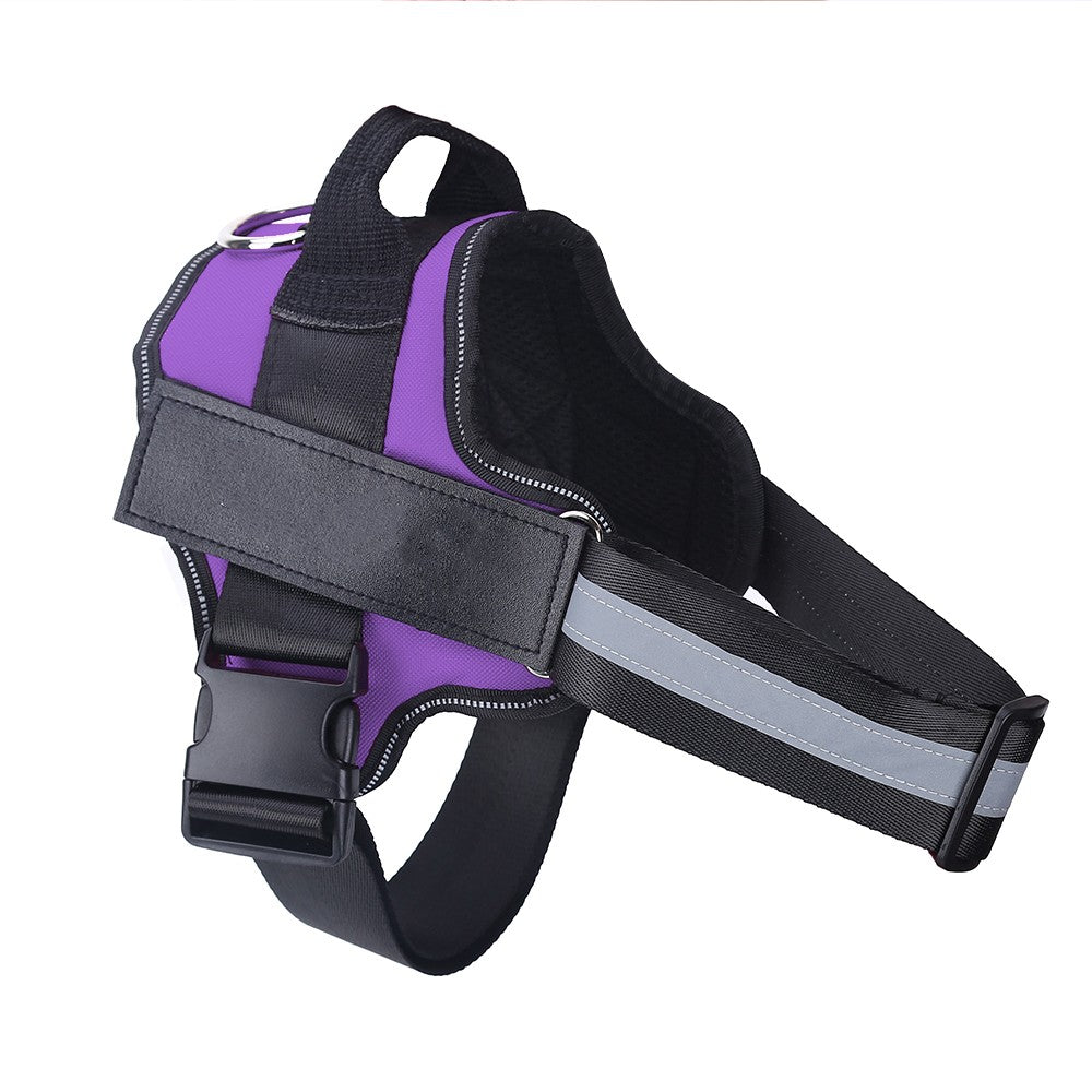 Harnier pour chien personalisable