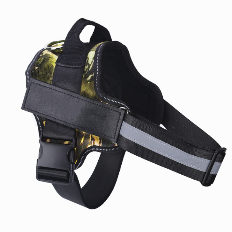 Harnier pour chien personalisable