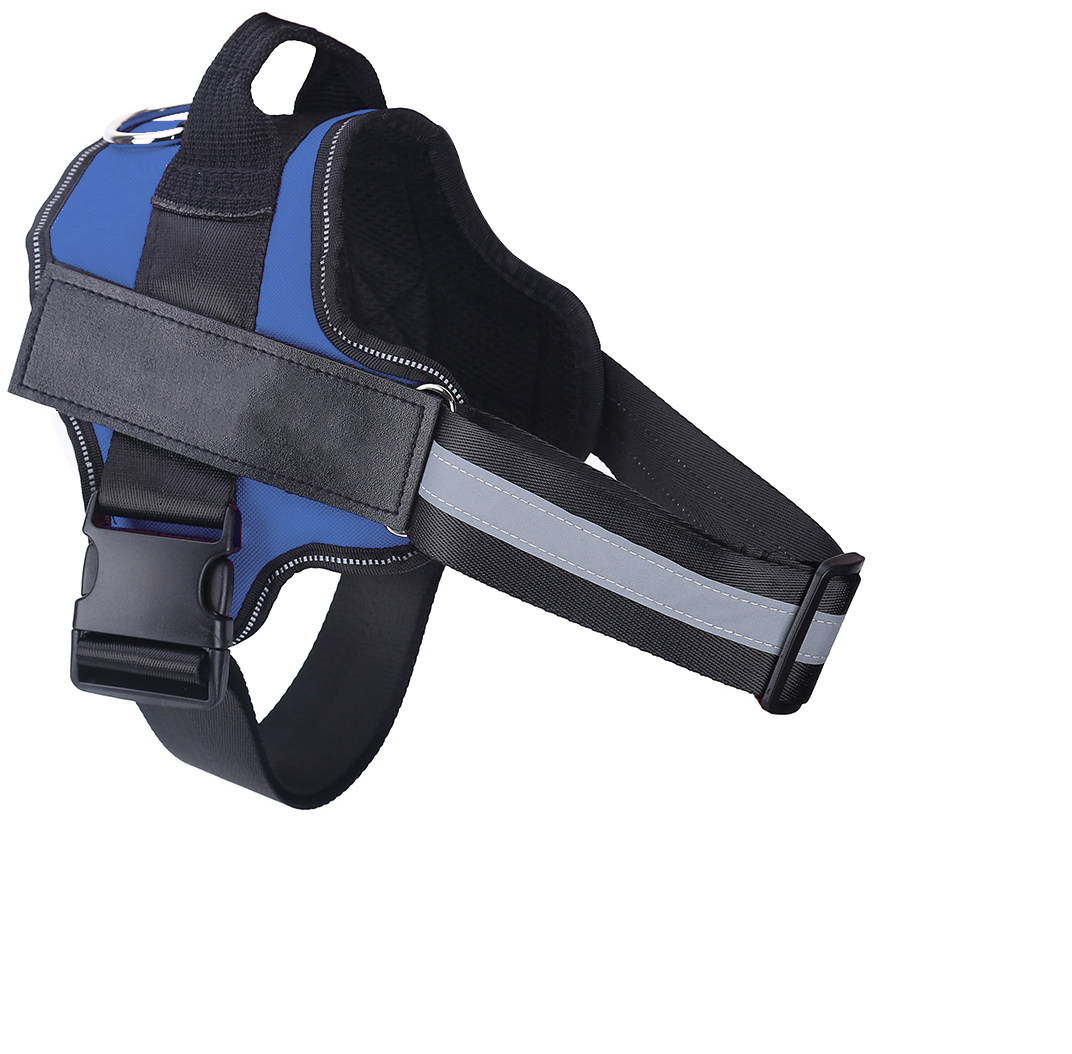 Harnier pour chien personalisable