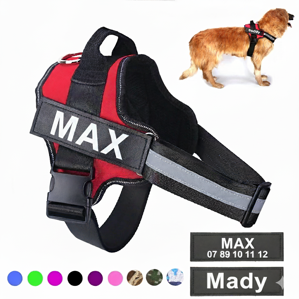 Harnier pour chien personalisable