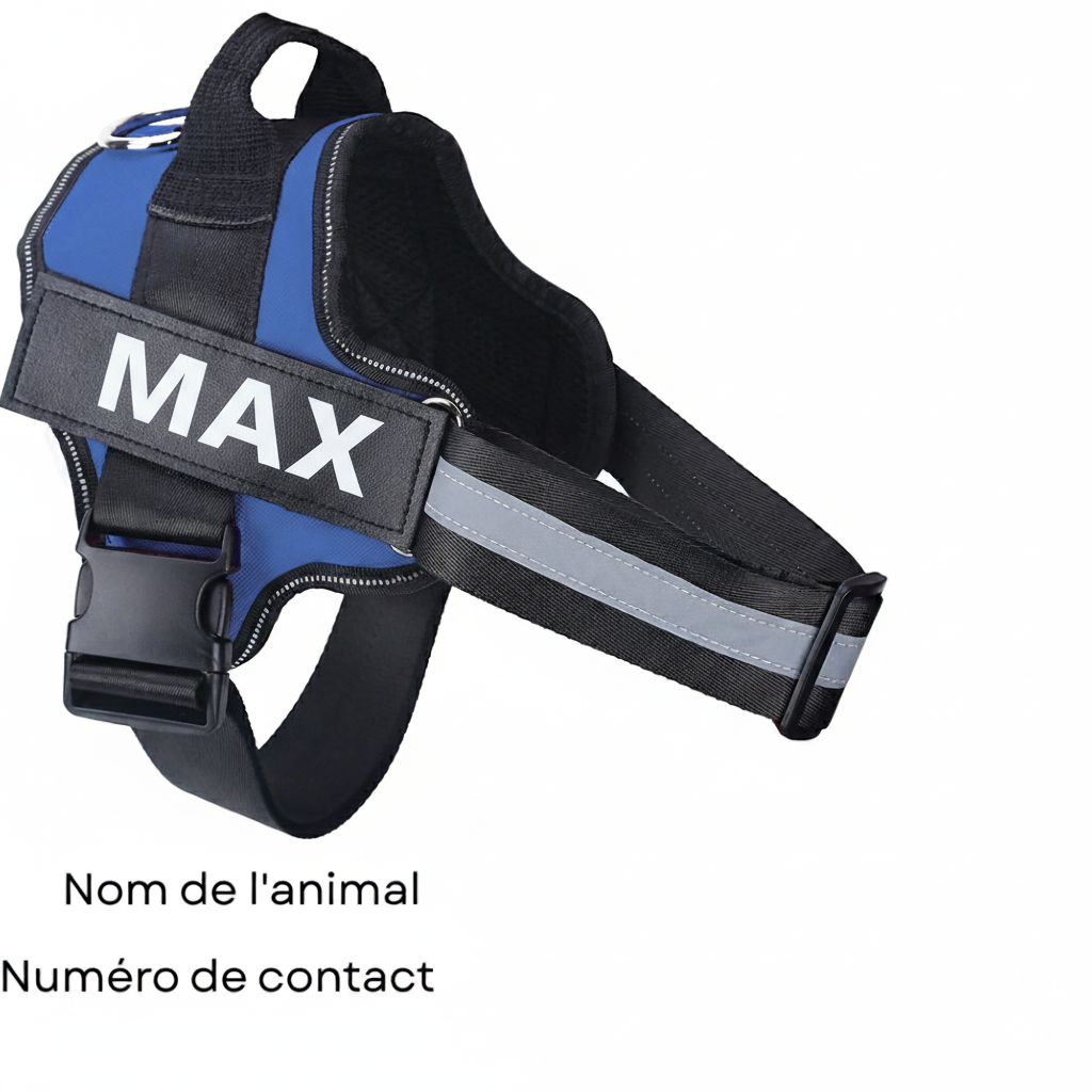Harnier pour chien personalisable
