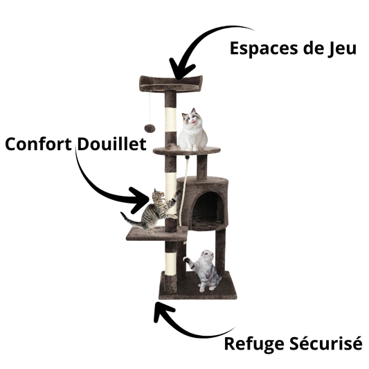 Arbre à chat multi-niveaux
