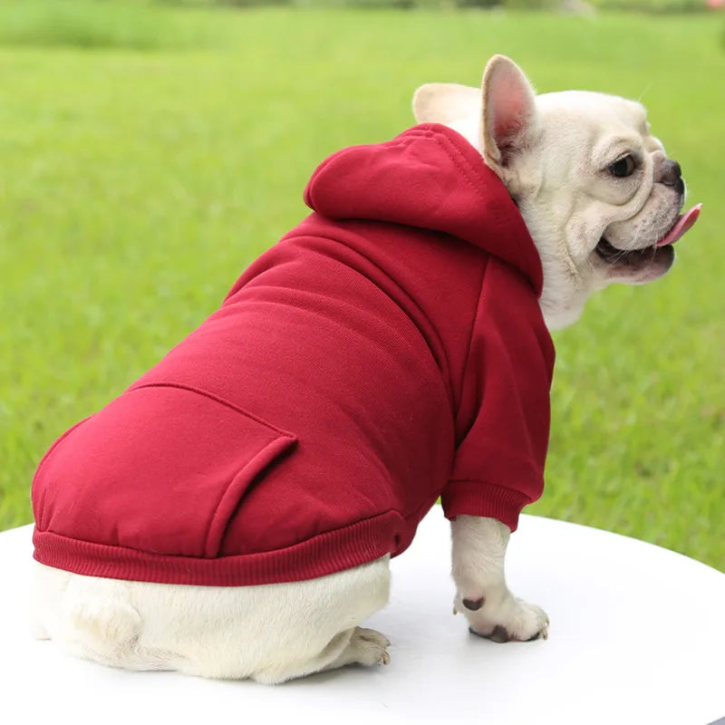 Sweat à capuche d'hiver pour chien