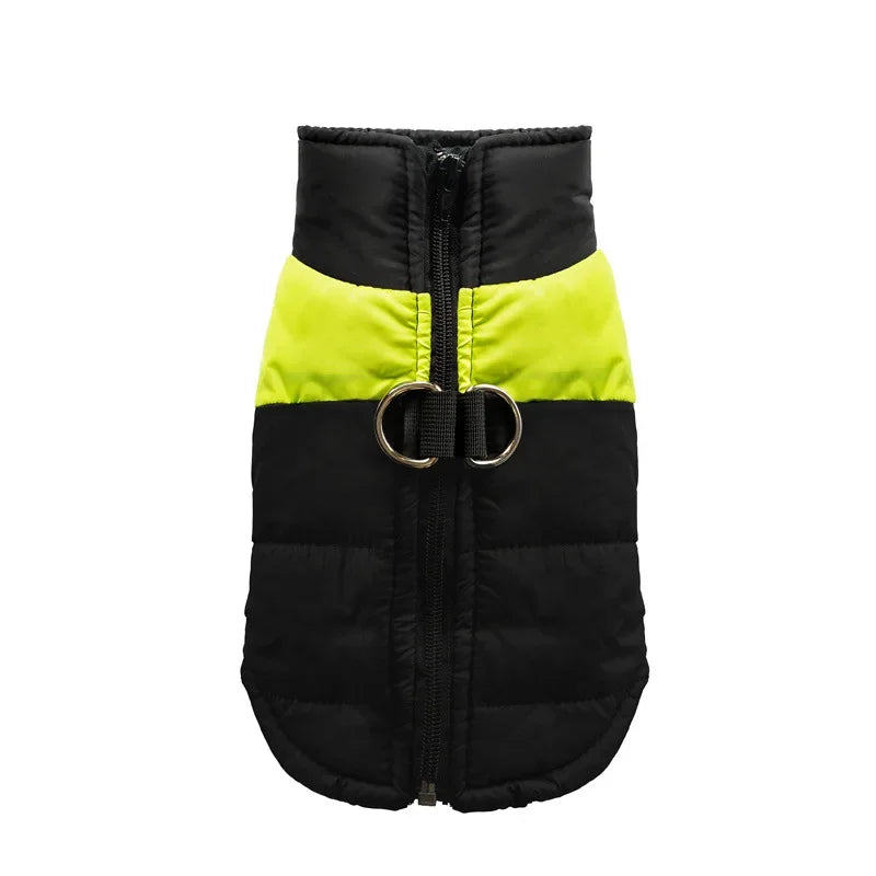 Veste imperméable et chauds pour chiens