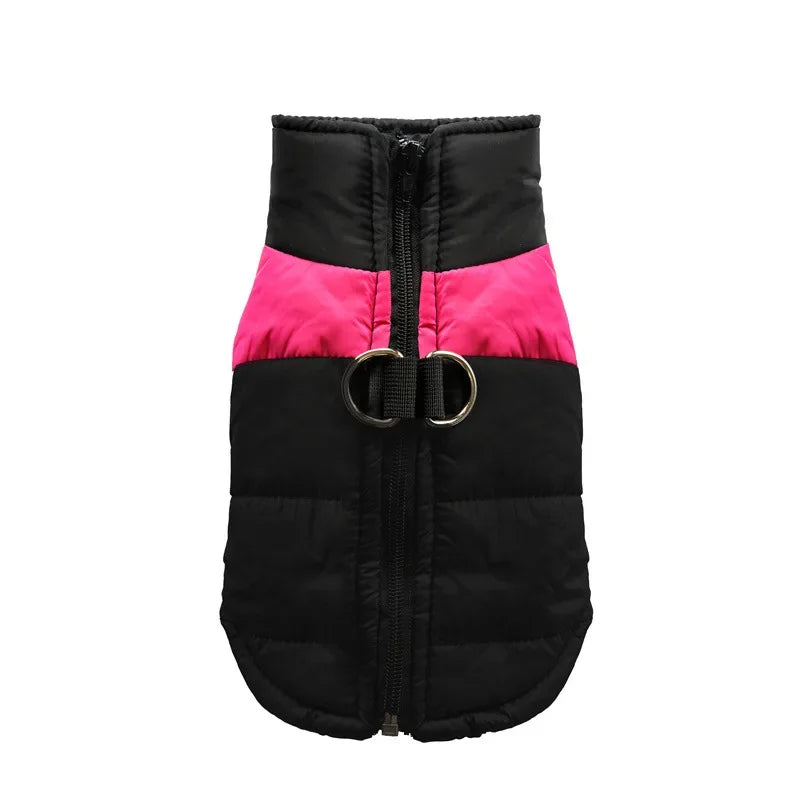Veste imperméable et chauds pour chiens