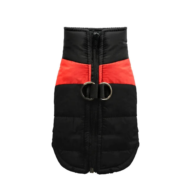 Veste imperméable et chauds pour chiens