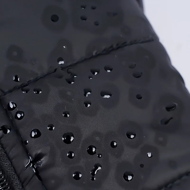 Veste imperméable et chauds pour chiens