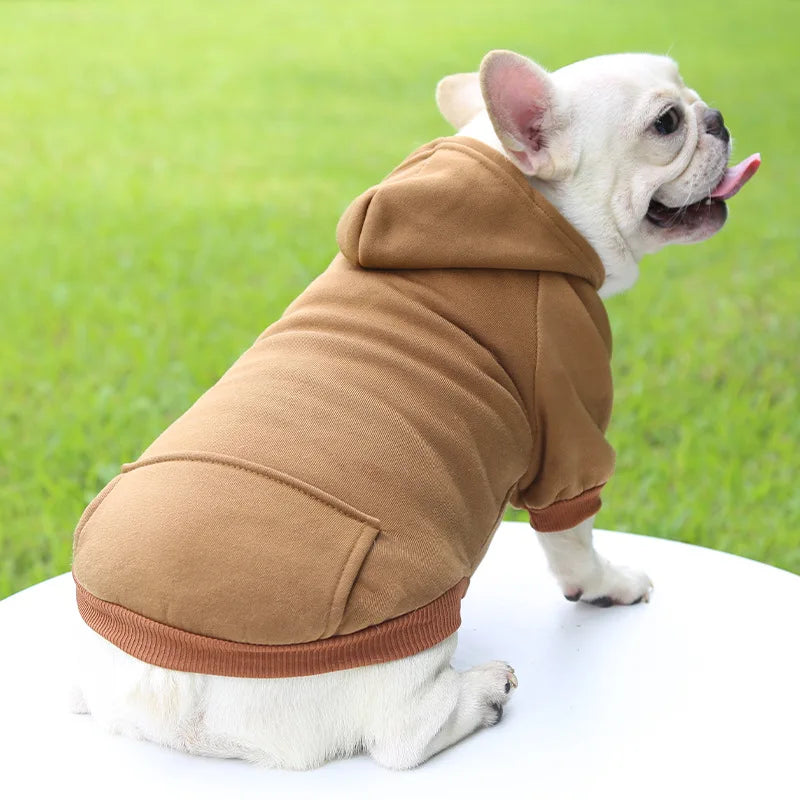 Sweat à capuche d'hiver pour chien