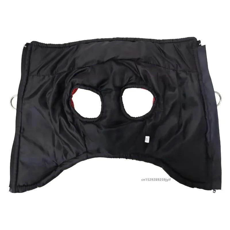 Veste imperméable et chauds pour chiens
