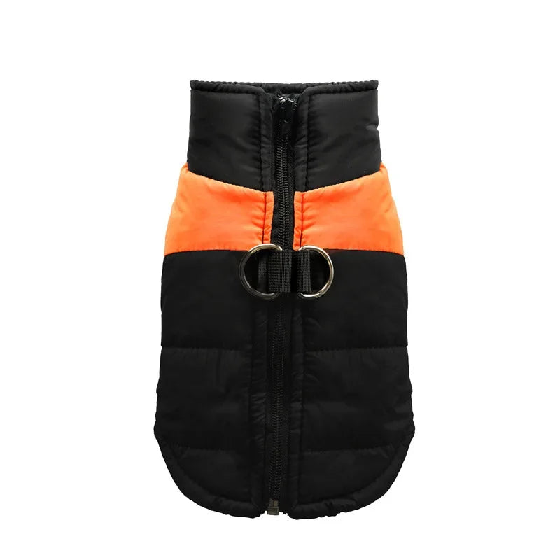 Veste imperméable et chauds pour chiens