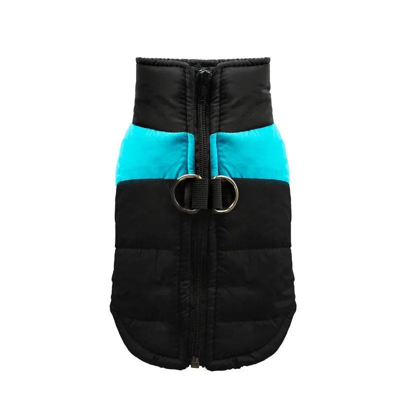 Veste imperméable et chauds pour chiens