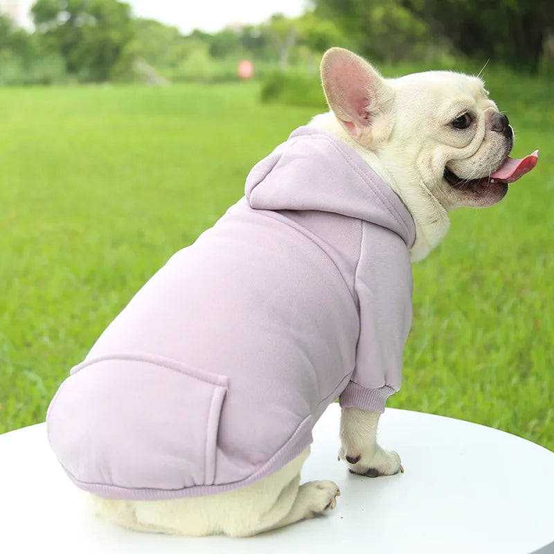 Sweat à capuche d'hiver pour chien