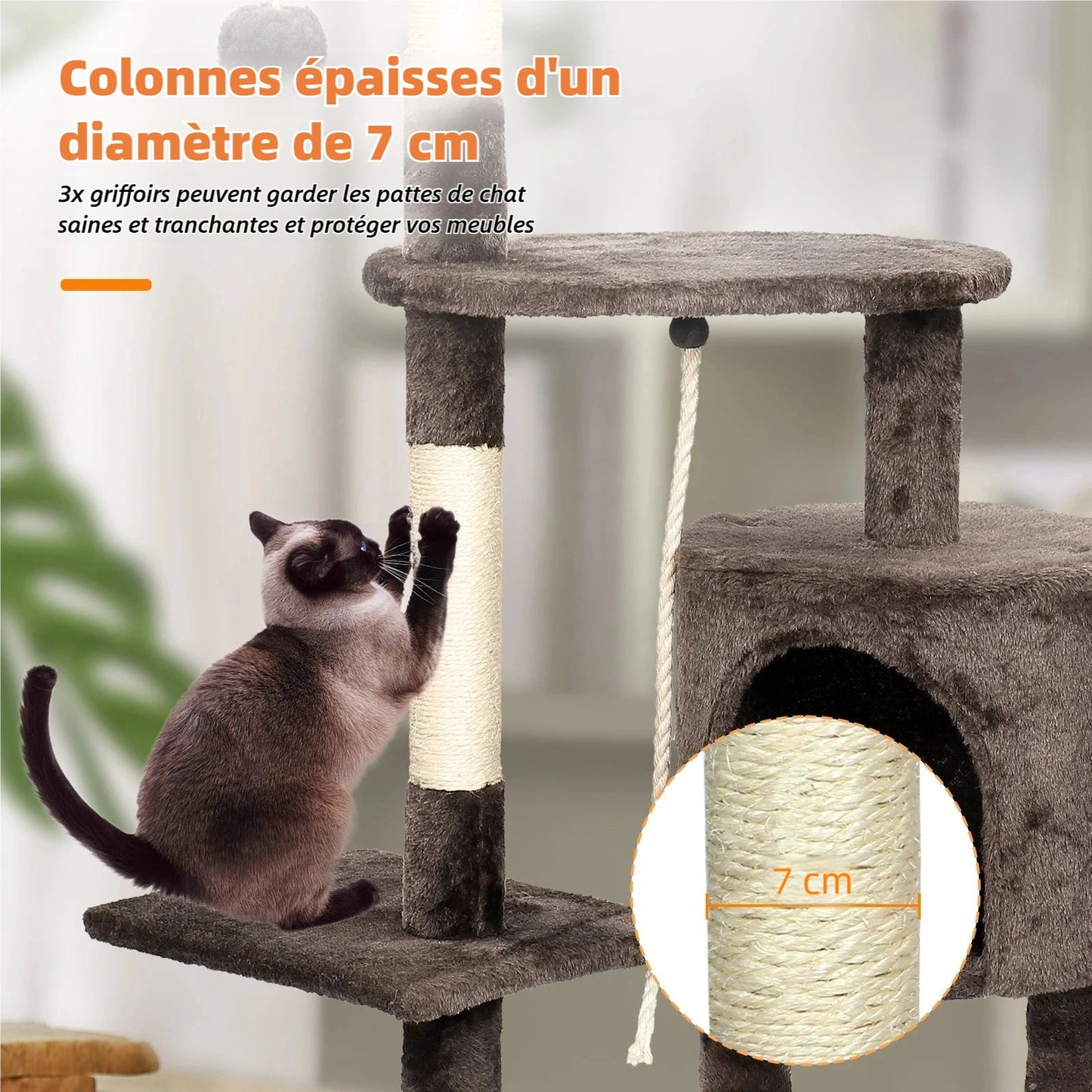 Arbre à chat multi-niveaux