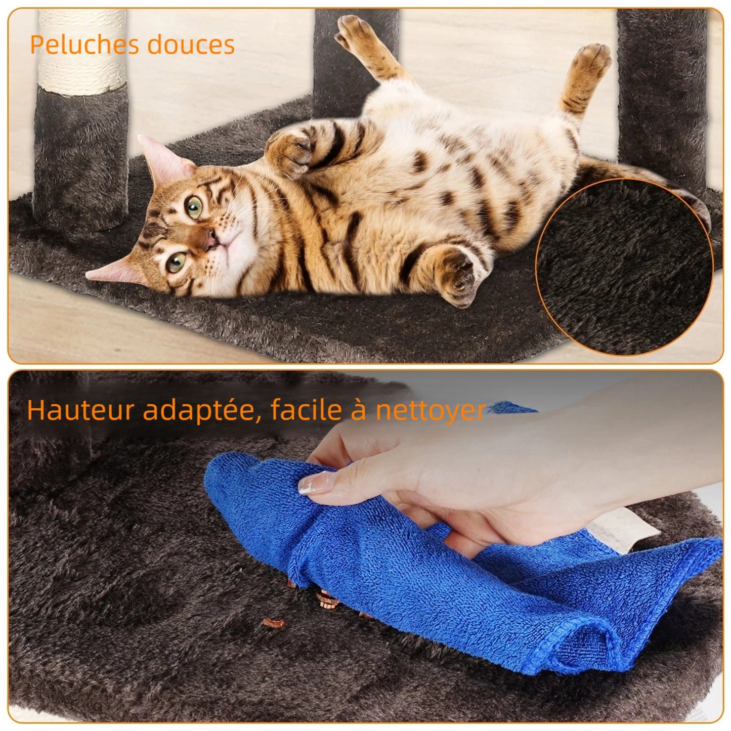 Arbre à chat multi-niveaux