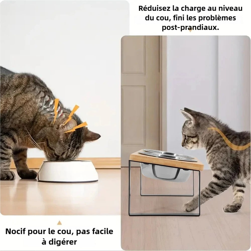 Bols surélevés pour chat