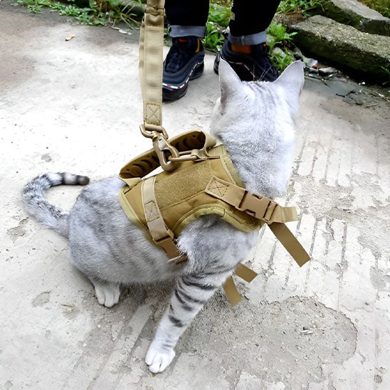 Harnais pour Chat Spécial