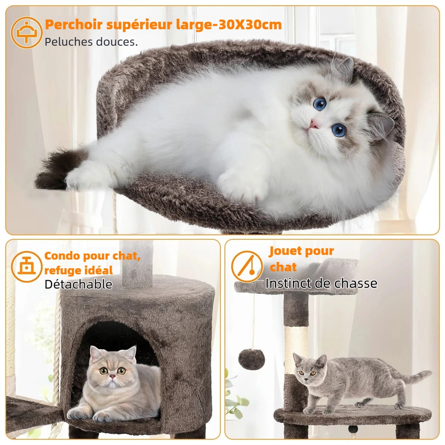 Arbre à chat multi-niveaux