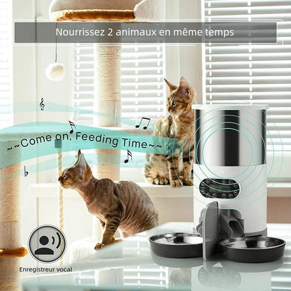 Distributeur de nouriture automatique pour chats
