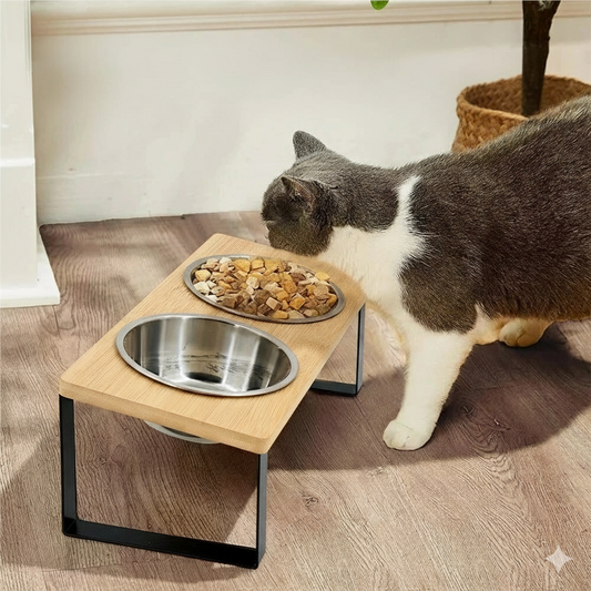 Bols surélevés pour chat