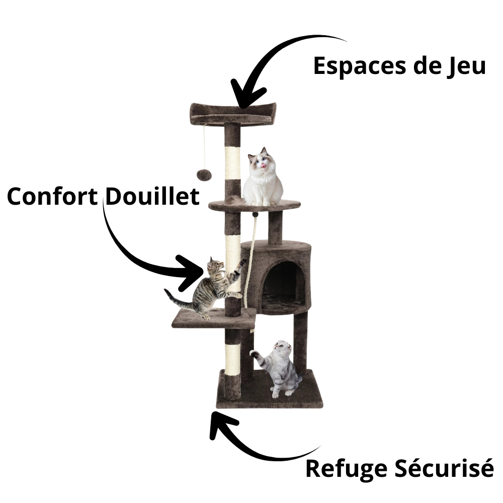 Arbre à chat multi-niveaux