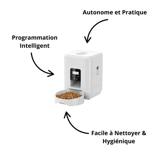 Distributeur automatique de nourriture pour chat et chien