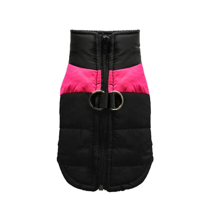 Veste imperméable et chauds pour chiens
