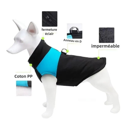 Veste imperméable et chauds pour chiens