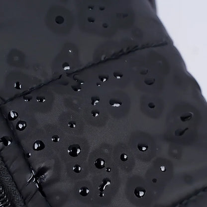 Veste imperméable et chauds pour chiens