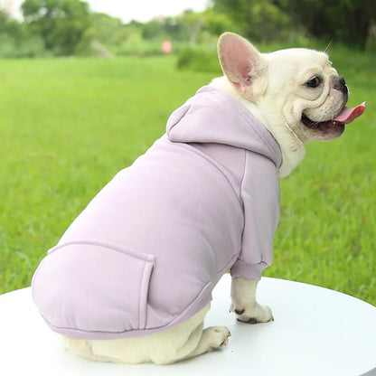 Sweat à capuche d'hiver pour chien