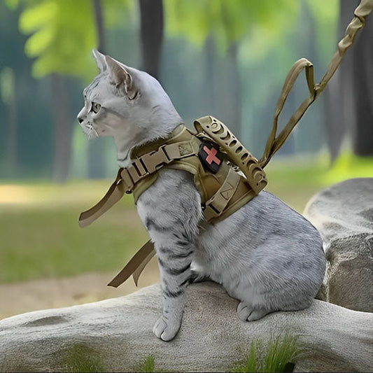 Harnais pour Chat Spécial